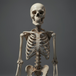 Skeleton Puns